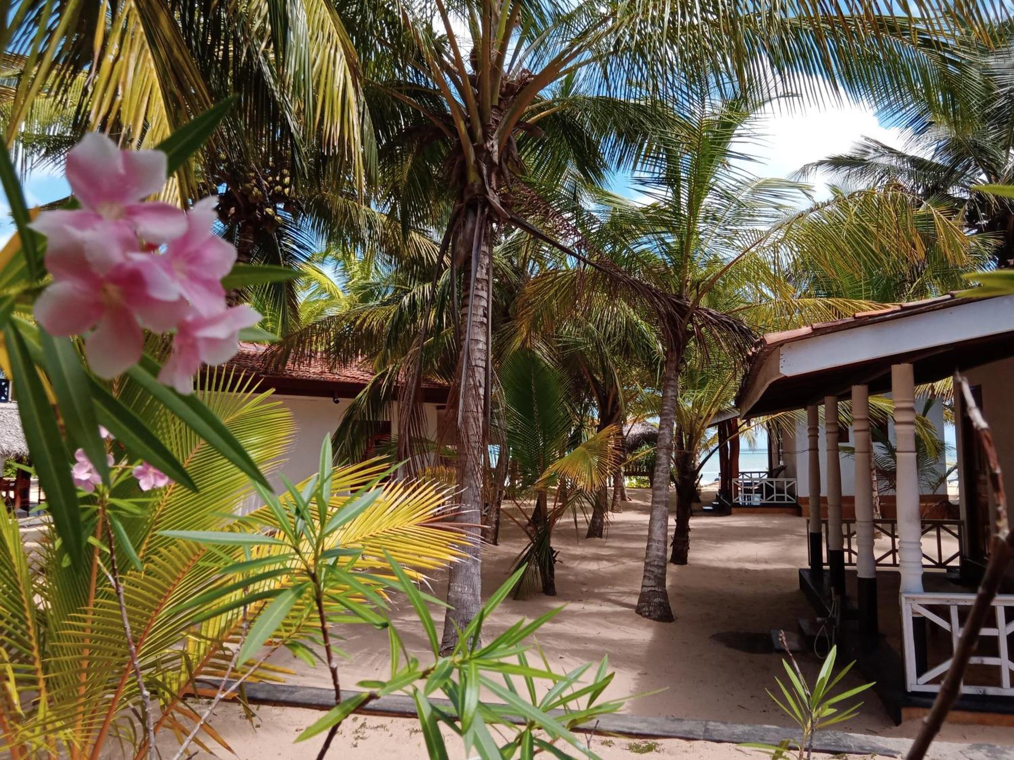 Ibisbird Beach Bungalows, Sport, Spa And Restaurant Tangalle Ngoại thất bức ảnh