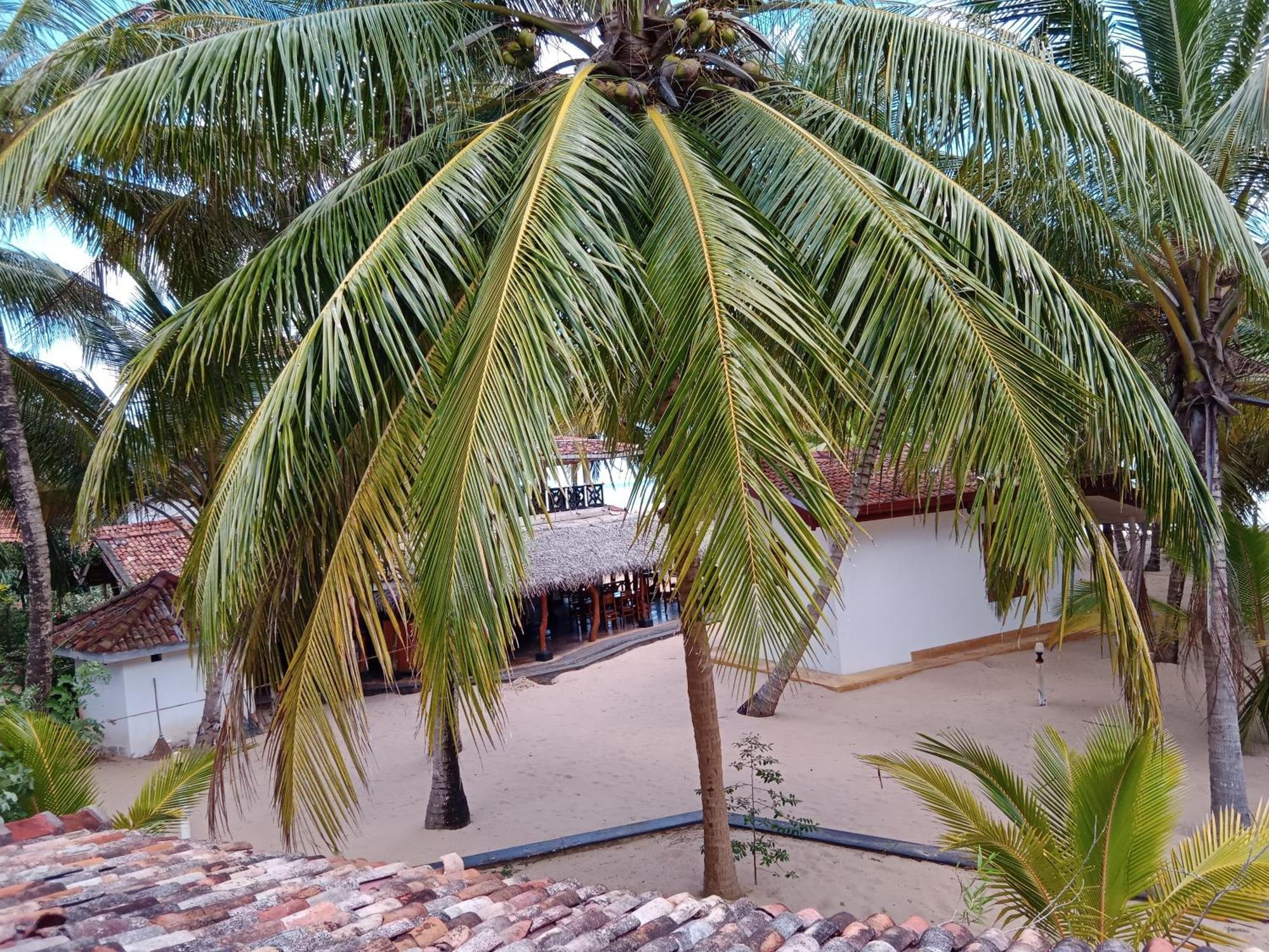 Ibisbird Beach Bungalows, Sport, Spa And Restaurant Tangalle Ngoại thất bức ảnh