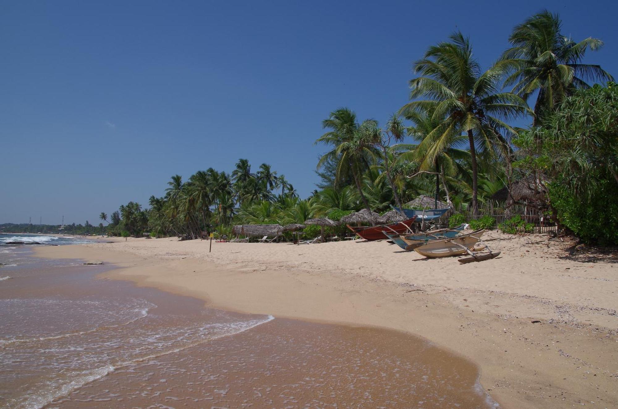 Ibisbird Beach Bungalows, Sport, Spa And Restaurant Tangalle Ngoại thất bức ảnh